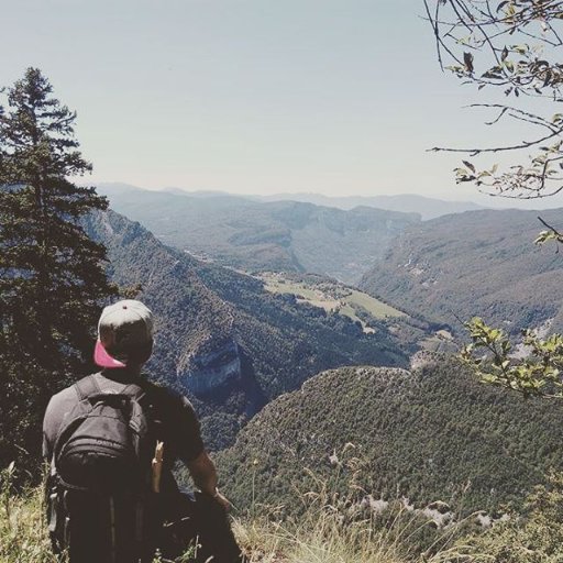 belikefred's profile picture. 