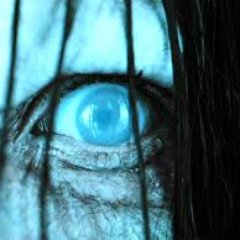 kevinfeeds's profile picture. 