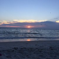 Lisa Lovering (@lisalovesmr) 's Twitter Profile