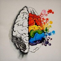BNUPsychologySociety (@bnupsychsoc) Twitter profile photo