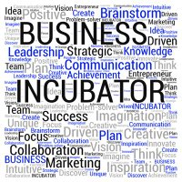 WHS INCubator (@whsincubator) 's Twitter Profile