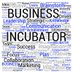 WHS INCubator (@whsincubator) Twitter profile photo WHS INCubator (@whsincubator) Twitter profile photo