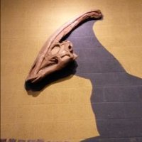 Dr. Matthew Saunders, composer (@mattscomposer) 's Twitter Profile