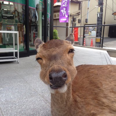 左衛門三郎二郎 Udon Twitter