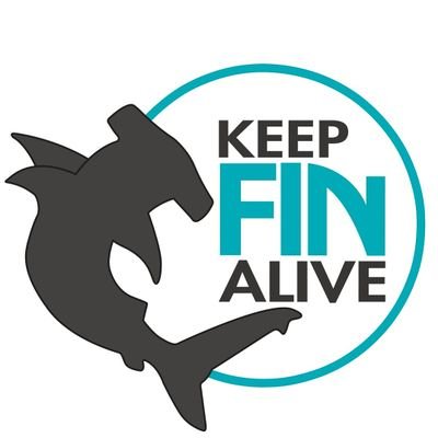 FIN is a soft shark on a mission to spread
awareness of the catastrophic decline in shark populations due to overfishing, finning, bycatch & more #KeepFinAlive