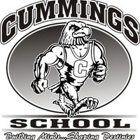 Cummings Optional (@cummingseagles1) 's Twitter Profile