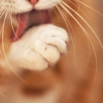 Vancissim's profile picture. ➜ Golly, well. . . There isn't enough ME in this chat