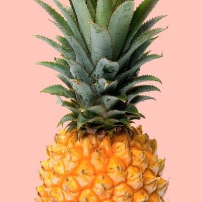 journeytomomma's profile picture. My humorous, sometimes TMI, journey to Momma