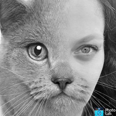 hegea76's profile picture. 