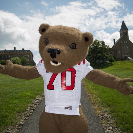 CornellFinAid's profile picture. Cornell's Office of Financial Aid and Student Employment promotes opportunity and affordability with a robust financial aid program and campus employment.