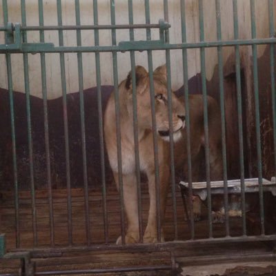 E87oamuNHwFntSb's profile picture. احب الجميلات فقط