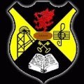 rhosrugbyladies's profile picture. 