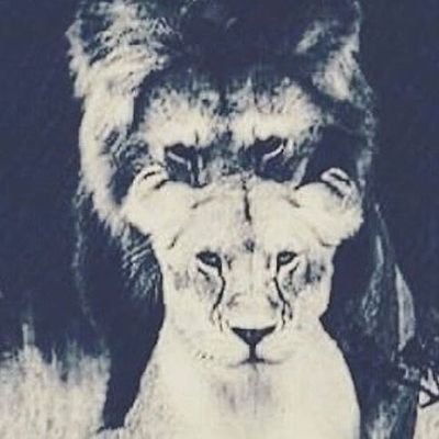 RHooom290's profile picture. Welcome