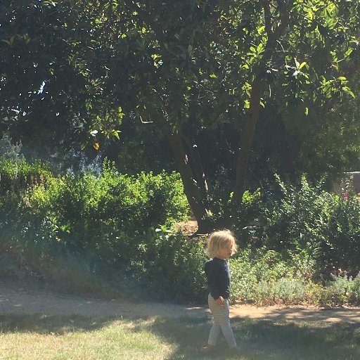 marydenardo's profile picture. 