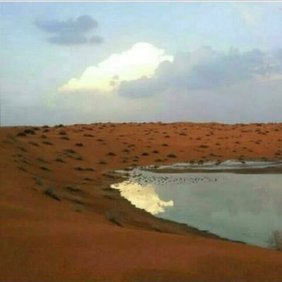 bndr511211's profile picture. 
