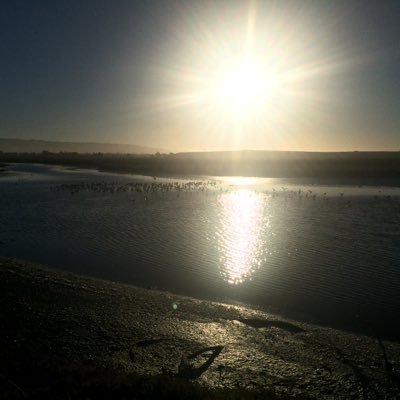 KellyinHaiti's profile picture. 