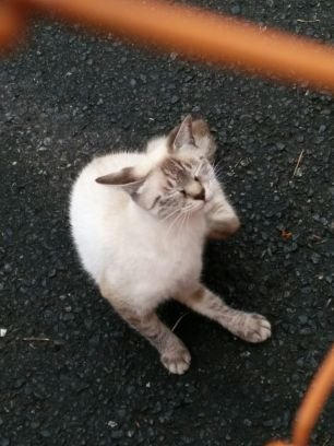 ブログで美白しシミが消えた方法を書いています。 三センチほどの顔のシミがきれいに消えました。https://t.co/0gA5ipAT02