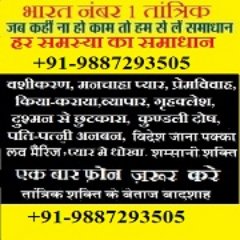 lovemarrigemumb's profile picture. Love Marriage Problem Solution Mumbai