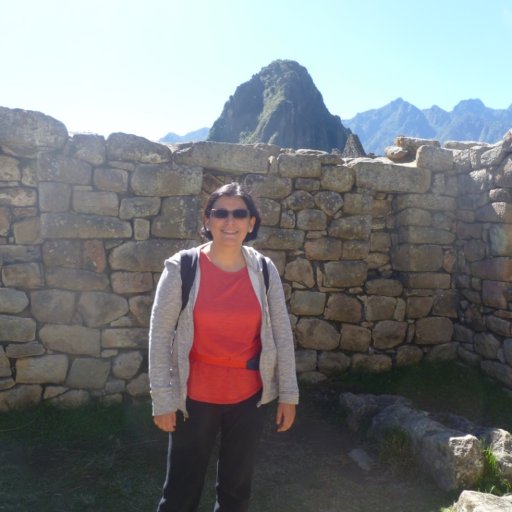 lsanchez10's profile picture. 