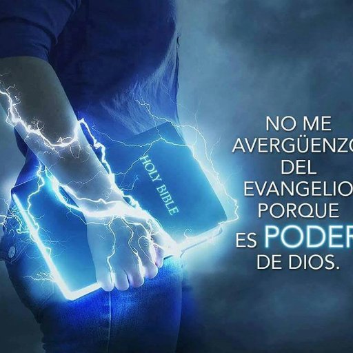 fernandogaston's profile picture. 