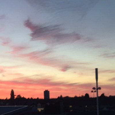 SairaOfficial's profile picture. ι ƒσℓℓσω вα¢к ♥