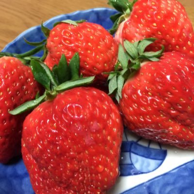 UjmvR6's profile picture. 