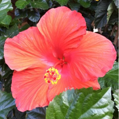 rrossig1's profile picture. 