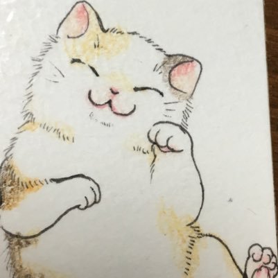 ミケミケ猫さんのプロフィール画像