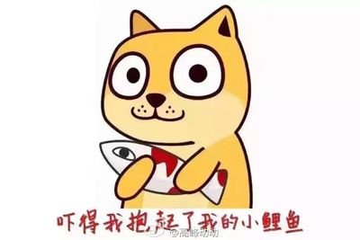 biohm0710's profile picture. 你是不是傻！