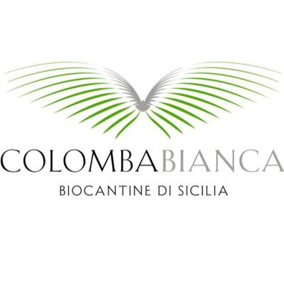 Cantina Cooperativa Siciliana con 2480 soci e 7500 ha di vigneti: siamo i più grandi produttori di vino biologico in Italia 🍸 info@colombabianca.com