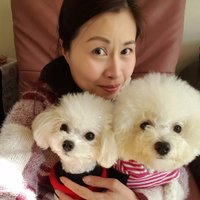 Milly Leung(@millykyleung) 's Twitter Profile Photo
