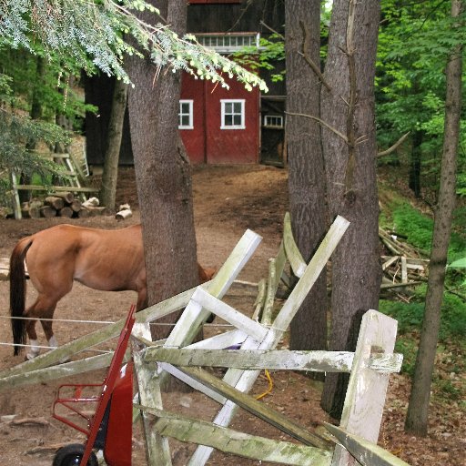 soapdoesit's profile picture. boat builder......political hopeful....
horse rescue....