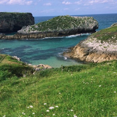 elisaasrb's profile picture. 