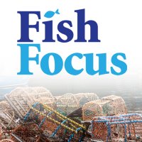 Fish Focus(@focus_fish) 's Twitter Profile Photo