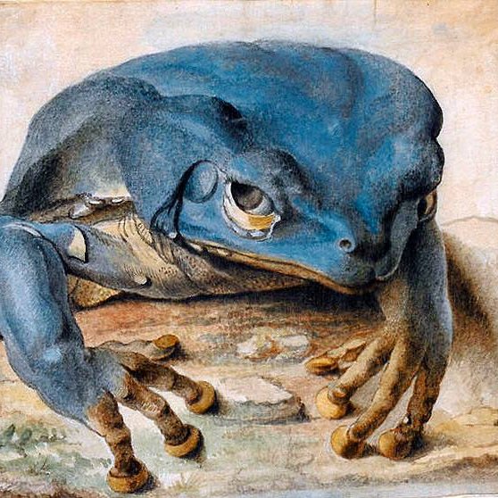 JozefMar's profile picture. 