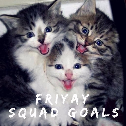 AnimalosophyIG's profile picture. Your daily dose of #animals | Submit yours with #animalosophy | IG: @Animalosophy