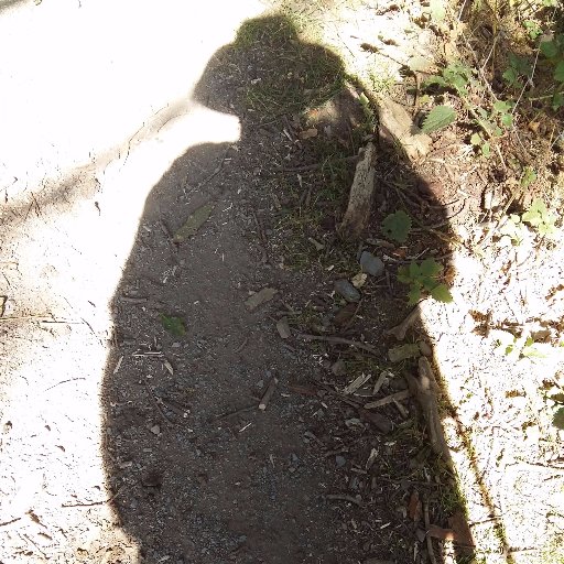 Used to be lots of things, now working out what comes next. But not here. He/him. Mastodon: nickbwalking@zirk.us Bluesky/Threads/IG: nickbwalking