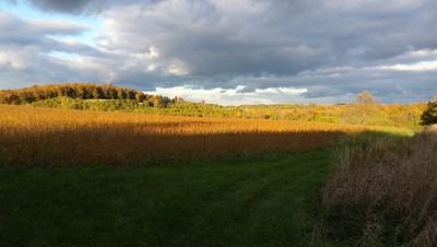 garlicgirlfarm's profile picture. Farmer