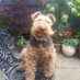Lord & Lady WT of Yockleton (@farr_simon) Twitter profile photo