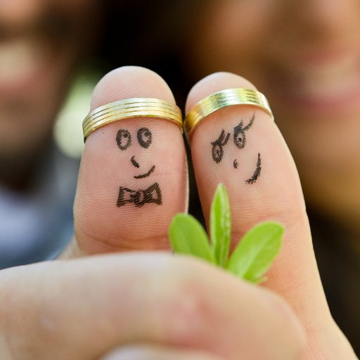 vesteprata's profile picture. 