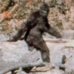 Squatch Watch News- Sasquatch / Bigfoot news and discussions // Email photos, audio, video and personal encounter stories to squatchwatchnews@gmail.com