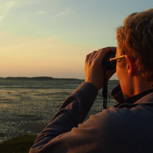 PhD student at the University of Hull, studying daytime and night-time behaviour in waders