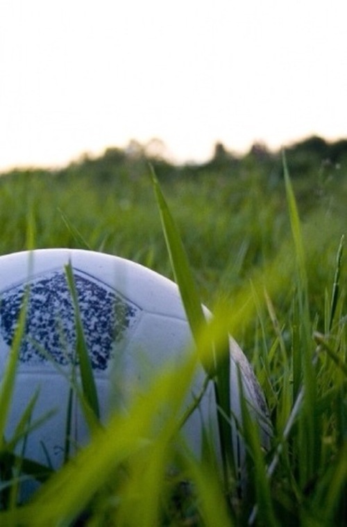 13sharona's profile picture. 