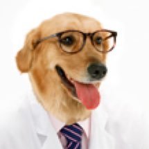 calebsourgoose's profile picture. very very unsatisfied with life