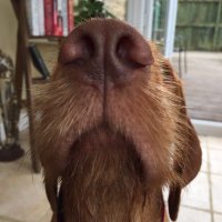 Bradus (@bradus59) 's Twitter Profile Photo Bradus (@bradus59) 's Twitter Profile Photo