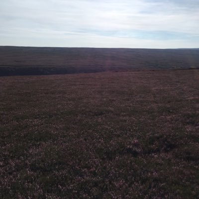 mwatson_matthew's profile picture. rural property professional trying to make a difference in the north, father, husband, wannabe sportsman and farmer, my own views etc