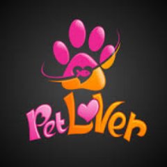 I love all my pets!