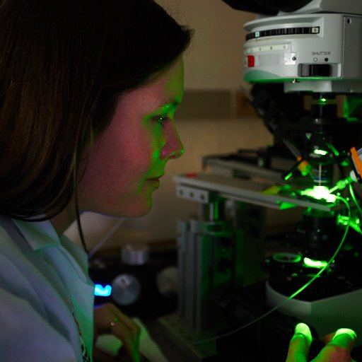 Neuroscientist in Montréal