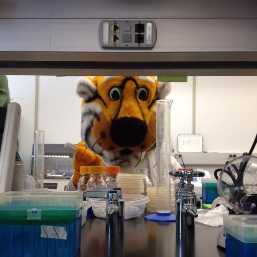 DMC_lab's profile picture. 