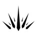 Crown Brush (@crownbrush) Twitter profile photo Crown Brush (@crownbrush) Twitter profile photo
